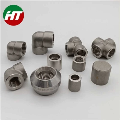 ASTM A182 F51 (UNS S31803) 二相ステンレス鍛造継手